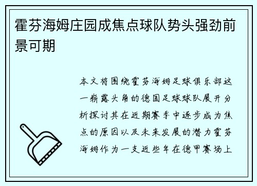 霍芬海姆庄园成焦点球队势头强劲前景可期